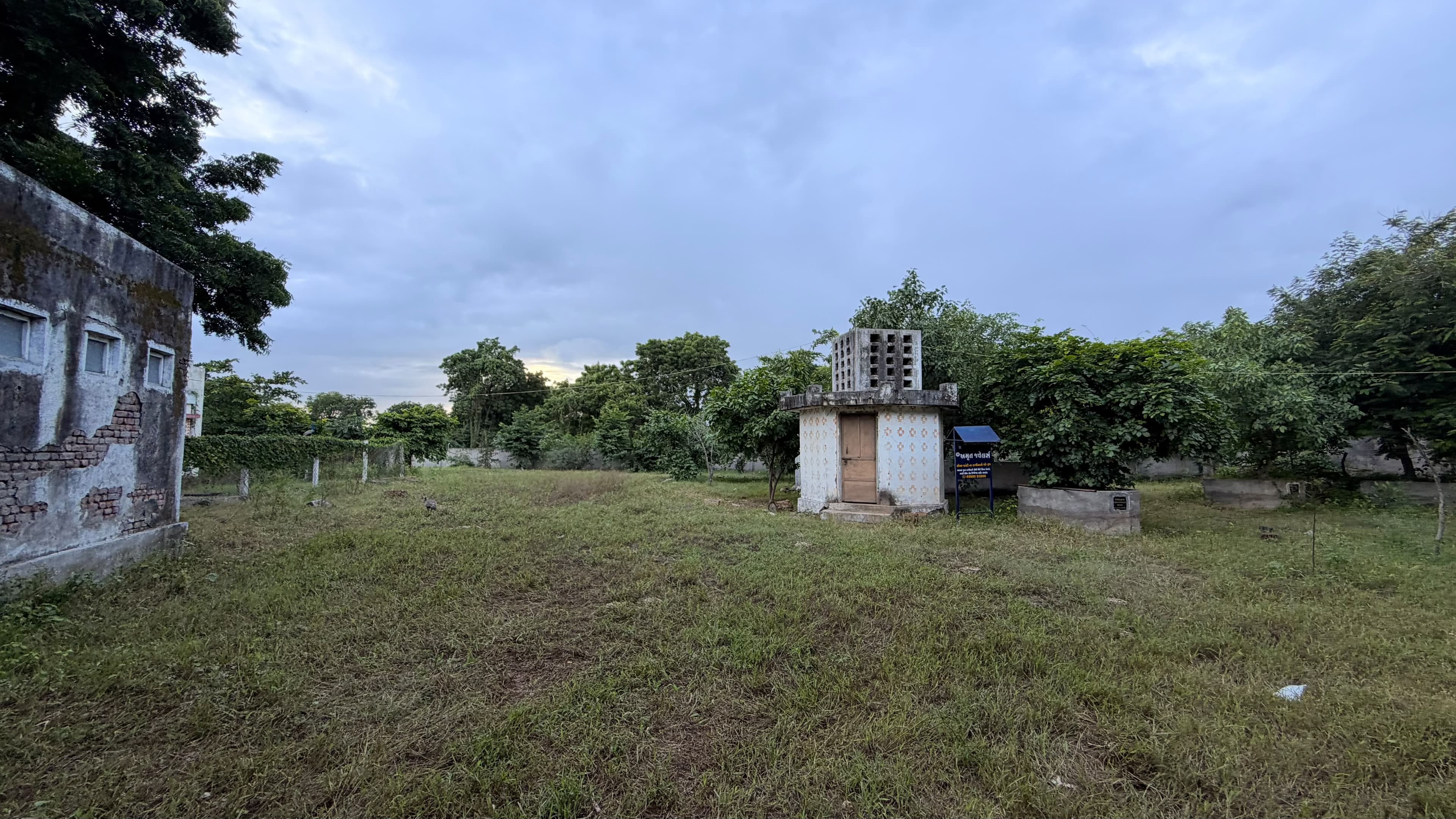 ધણખૂટની નવી કોડ (શેડ)